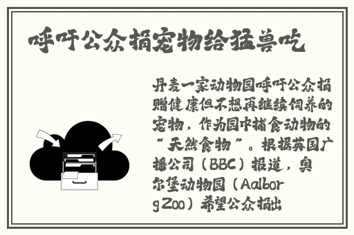 曹留社区2024年一二三四五六