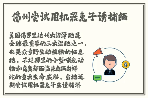 在线观看无码不卡AV